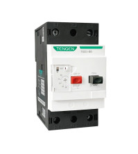 Շարժիչի պաշտպանության ավտոմատ անջատիչ  TGD1-80 25-40
