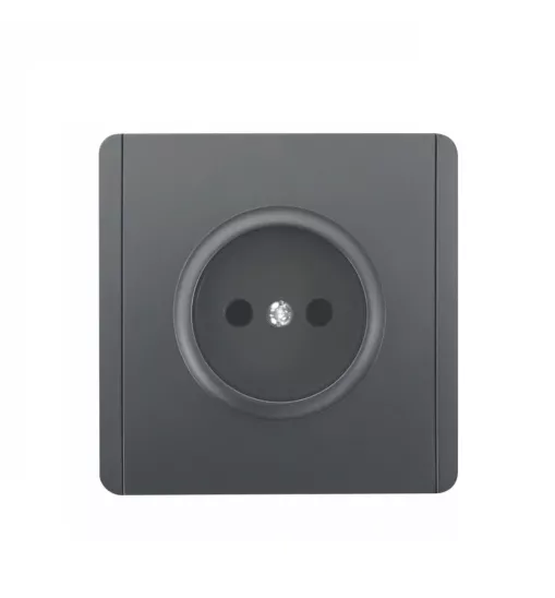 Panaica E05 վարդակ առանց հողանցում / մոխրագույն Panaica E05 վարդակ առանց հողանցում / մոխրագույն