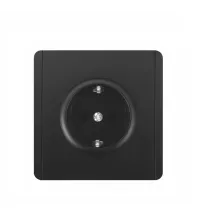 Panaica E05 վարդակ հողանցումով / սև