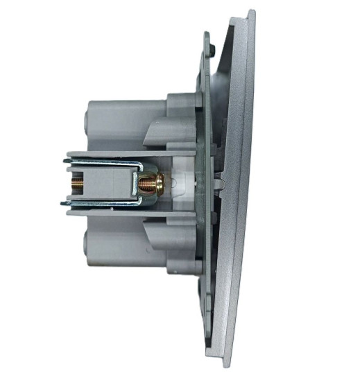 Panaica E05 անջատիչ 1 ստեղն / մոխրագույն