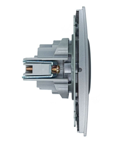 Panaica E05 վարդակ հողանցումով / մոխրագույն