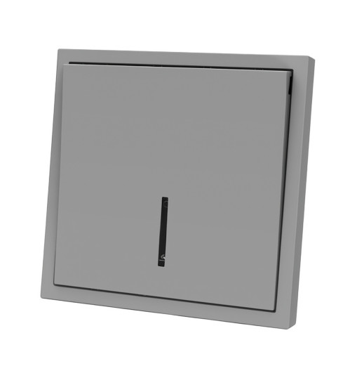 Panaica E09 անջատիչ 1 ստեղն / մոխրագույն լույսով