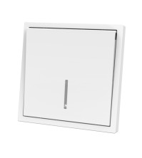 Panaica E09 անջատիչ 1 ստեղն / սպիտակ լույսով