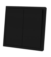 Panaica E09 փոխանջատիչ  2 ստեղն / սև