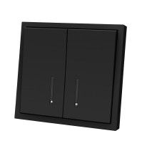 Panaica E09 անջատիչ 2 ստեղն / սև լույսով