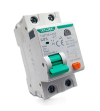 Դիֆերենցյալ ավտոմատ անջատիչ Tengen TGB1NLA-63Y 2P C25 30mA (A Type)