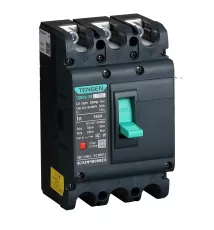 Ավտոմատ անջատիչ Tengen TGM1N-250M/3300 200A