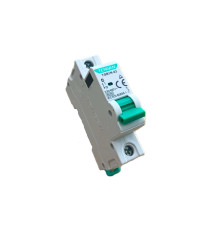 Ավտոմատ անջատիչ TGB1N-63 1P C25